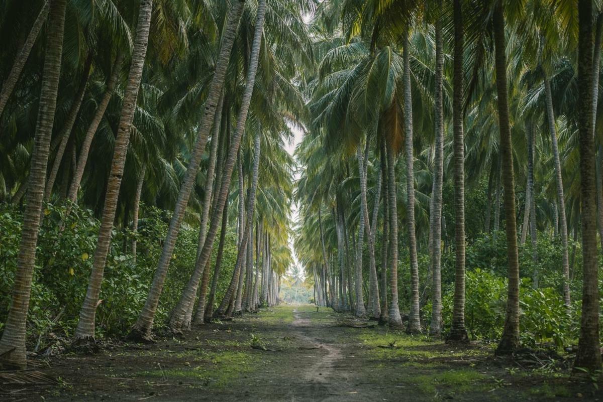Reveries Maldives غان المظهر الخارجي الصورة